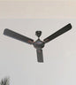 Corolla Ceiling Fan